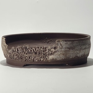 Peut inclure: Un pot à bonsaï en céramique marron avec un aspect texturé et vieilli. Le pot de forme ovale présente un design unique avec un bord rocheux sculpté et une finition plus claire et vieillie sur un côté. Le pot mesure environ 30 cm de long.