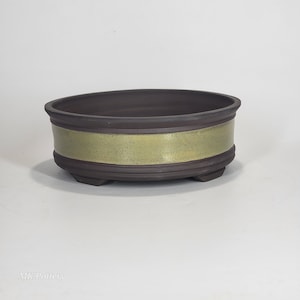 May include: A dark brown ceramic bonsai pot with a gold band around the middle. The oval-shaped pot has a low profile and sits on small feet. The pot is likely used for growing small trees or plants.