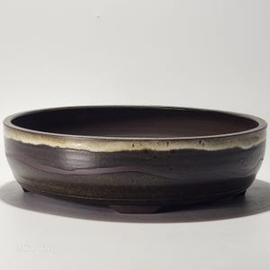 Peut inclure: Un pot à bonsaï en céramique brun foncé, de forme ovale. Le bord présente une bande d'émail blanc cassé et vert olive, avec des motifs ondulés. Le pot repose sur trois petits pieds. Mesure environ 30 cm de long.