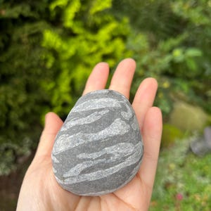 May include: A grey stone with white, wavy markings. The stone is held in an open hand, with a blurred green background of foliage. The stone's shape is oval, and the patterns create a striped effect.