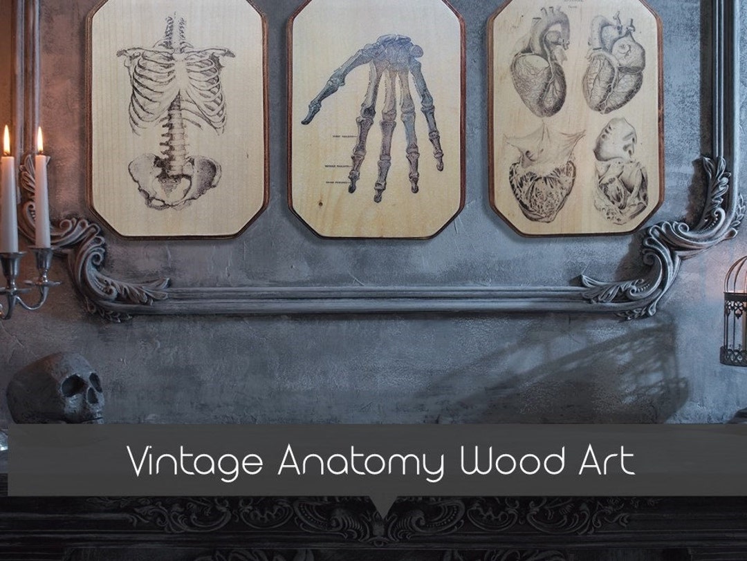 Vintage Anatomy Wood Art, Wood Art, Halloween Art, Medical Art, Macabre ...