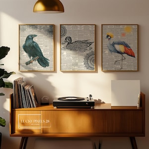 Vintage Bird Art 3 Piece Wall Art Gallery Wall Set. Instant Download Printable Wall Art Bird Painting. Birds Decor Wall Prints, Digital Art