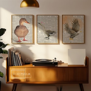 Modern Bird Art 3 Piece Wall Art Gallery Wall Set. Instant Download Printable Wall Art Bird Painting. Birds Decor Wall Prints, Digital Art