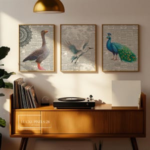 Vintage Bird Art 3 Piece Wall Art Gallery Wall Set. Instant Download Printable Wall Art Bird Painting. Birds Decor Wall Prints, Digital Art