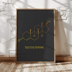 Puede incluir: Un póster enmarcado con una estructura molecular dorada de testosterona sobre un fondo negro. La palabra "TESTOSTERONE" está impresa en dorado debajo de la estructura. El póster está en un marco de madera.