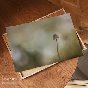 Dandelion Wall Art Printable, Landscape Poster Digital Download, Floral Scene, Rustic Decor for Living Room or Bedroom, Boho Home Decor