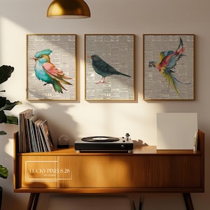 Birds Art Set 3 Piece Wall Art Gallery Wall Set. Instant Download Printable Wall Art Bird Painting. Birds Decor Wall Prints, Digital Arts