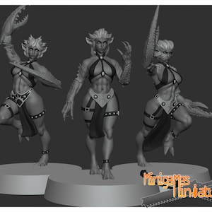 Chaos Demonesses (14 models) by Minigames Miniatures. 32mm scale made to order 3D print.