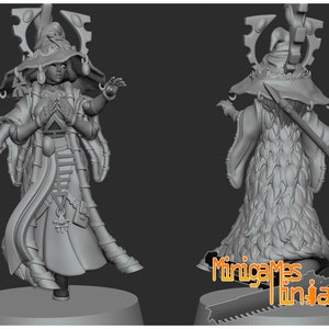 Space Elves Seer Ranni by Minigames Miniatures. 28mm scale made to order 3D print.