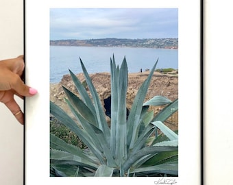 ENMARCADO + FIRMADO: Planta de agave, La Jolla / San Diego, CA