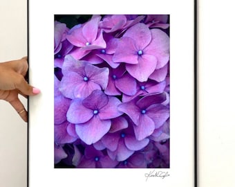 FRAMED+SIGNED: Hydrangea, Macro
