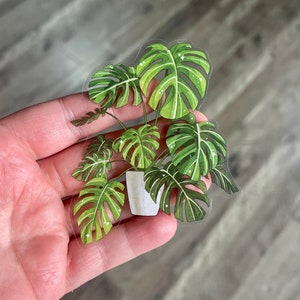 Monstera sticker