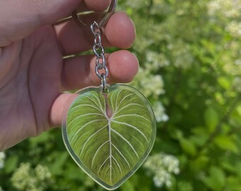 Philodendron gloriosum keychain