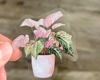 Pink Princess Philodendron Plant Sticker