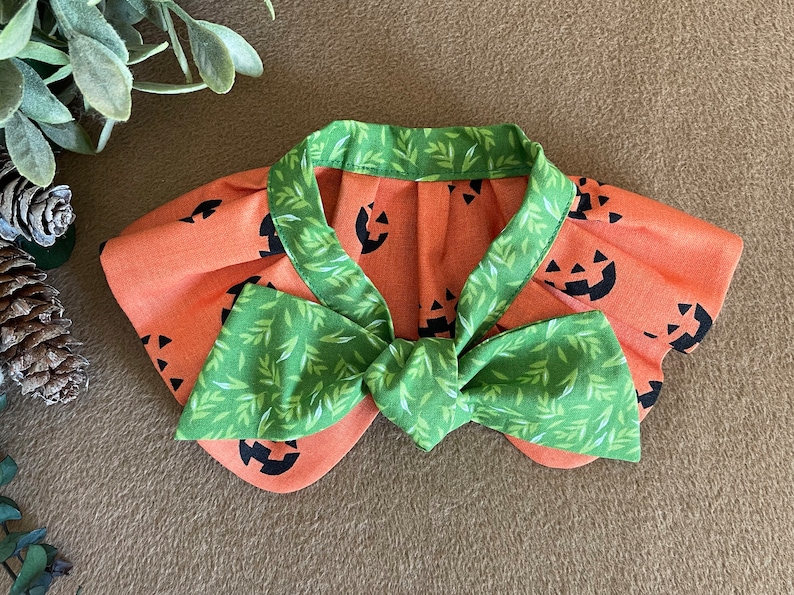 May include: A green and orange fabric pumpkin-themed dog collar with a bow tie. The collar is decorated with a green leafy pattern and orange fabric with black jack-o'-lantern faces.