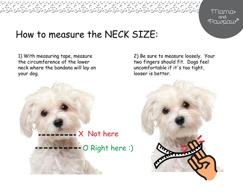 May include: Diagram showing how to measure a dog's neck for a bandana. A white dog is shown with a measuring tape around its neck. The text says "X Not here" and "O Right here :)" to indicate the correct place to measure.