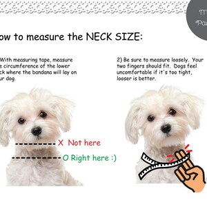 May include: Diagram showing how to measure a dog's neck for a bandana. A white dog is shown with a measuring tape around its neck. The text says "X Not here" and "O Right here :)" to indicate the correct place to measure.