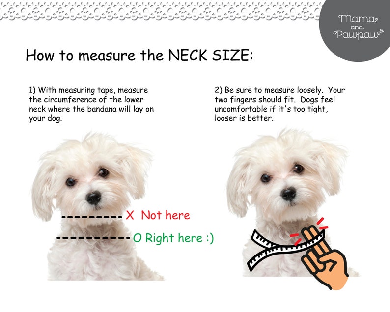 May include: Diagram showing how to measure a dog's neck for a bandana. A white dog is shown with a measuring tape around its neck. The text says "X Not here" and "O Right here :)" to indicate the correct place to measure.