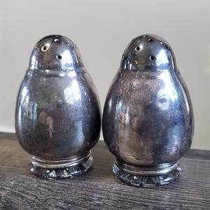 Vintage Salt and Pepper Shakers with Glass inserts