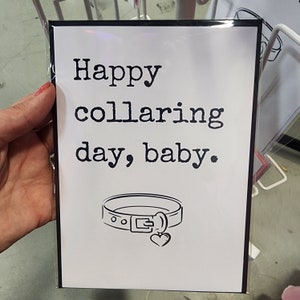 Happy Collaring Day, Baby — Greeting Card for Alternative Lifestyles