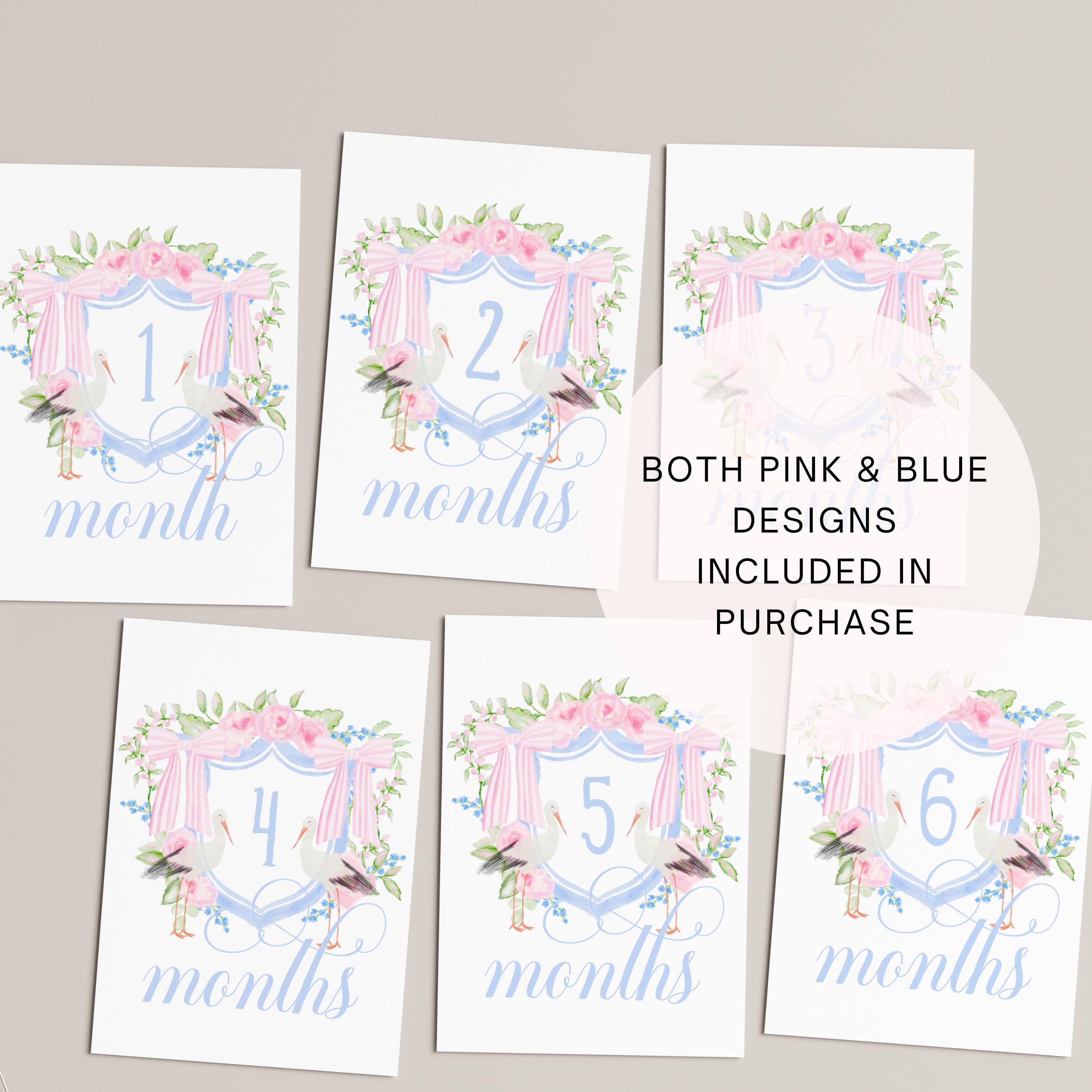 Baby Milestone Cards | Milestone Cards | Baby Gift | Stork Crest | Baby ...