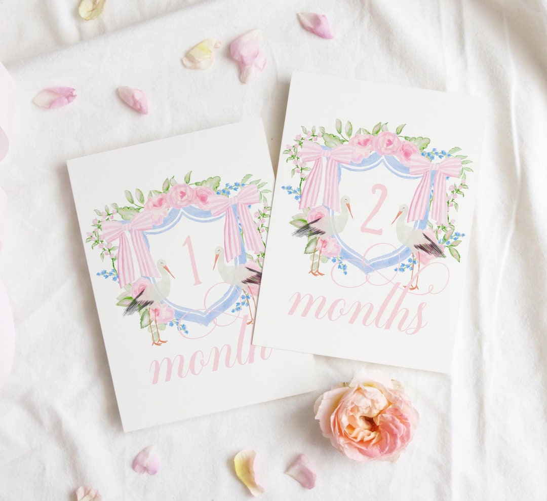Baby Milestone Cards | Milestone Cards | Baby Gift | Stork Crest | Baby ...