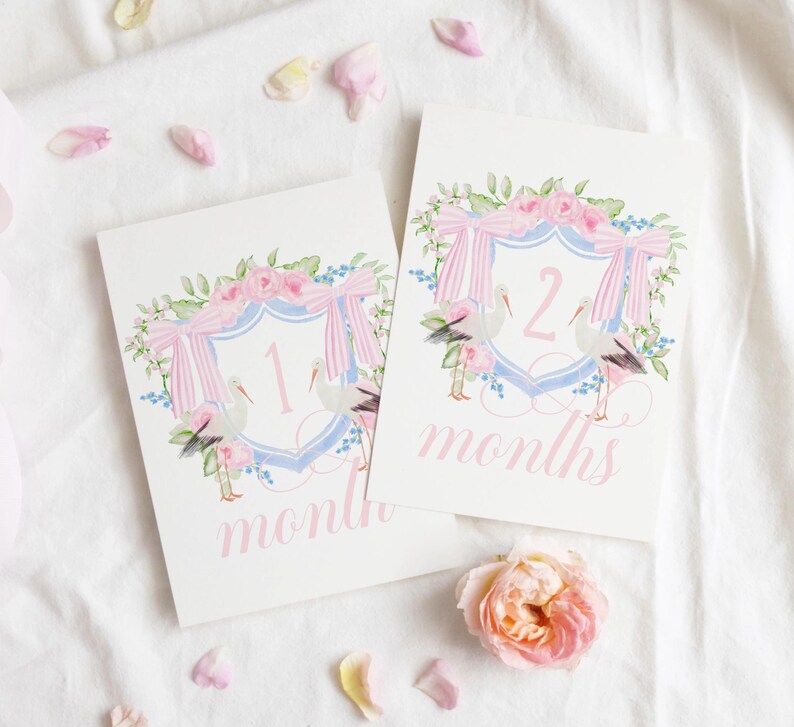 Baby Milestone Cards | Milestone Cards | Baby Gift | Stork Crest | Baby ...