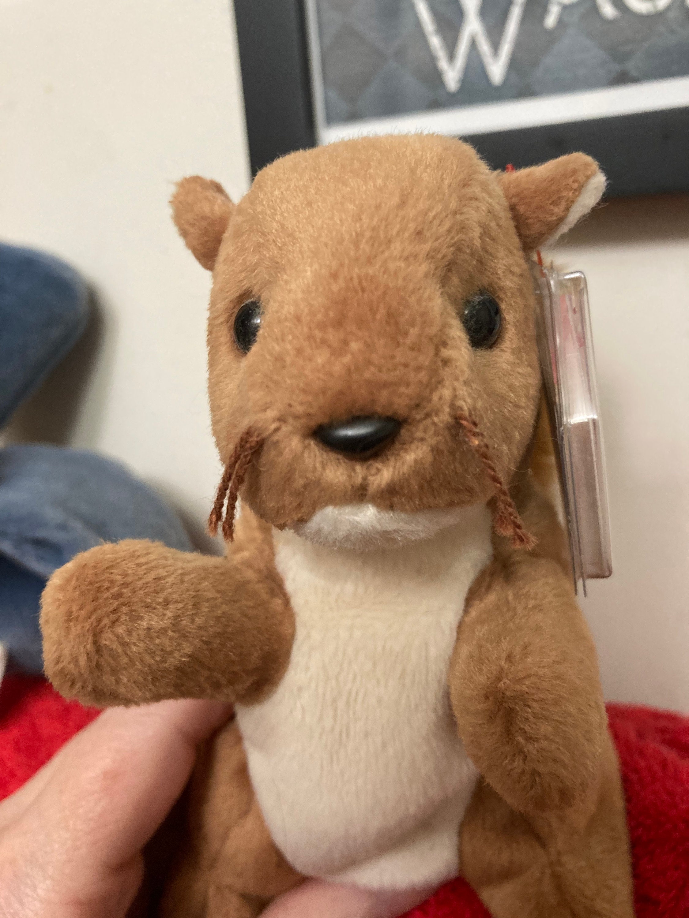 Nuts the Squirrel Beanie Baby Etsy