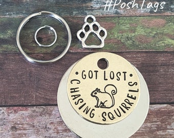 Got lost chasing squirrels - acorn cute funny - pet cat dog ID collar tag