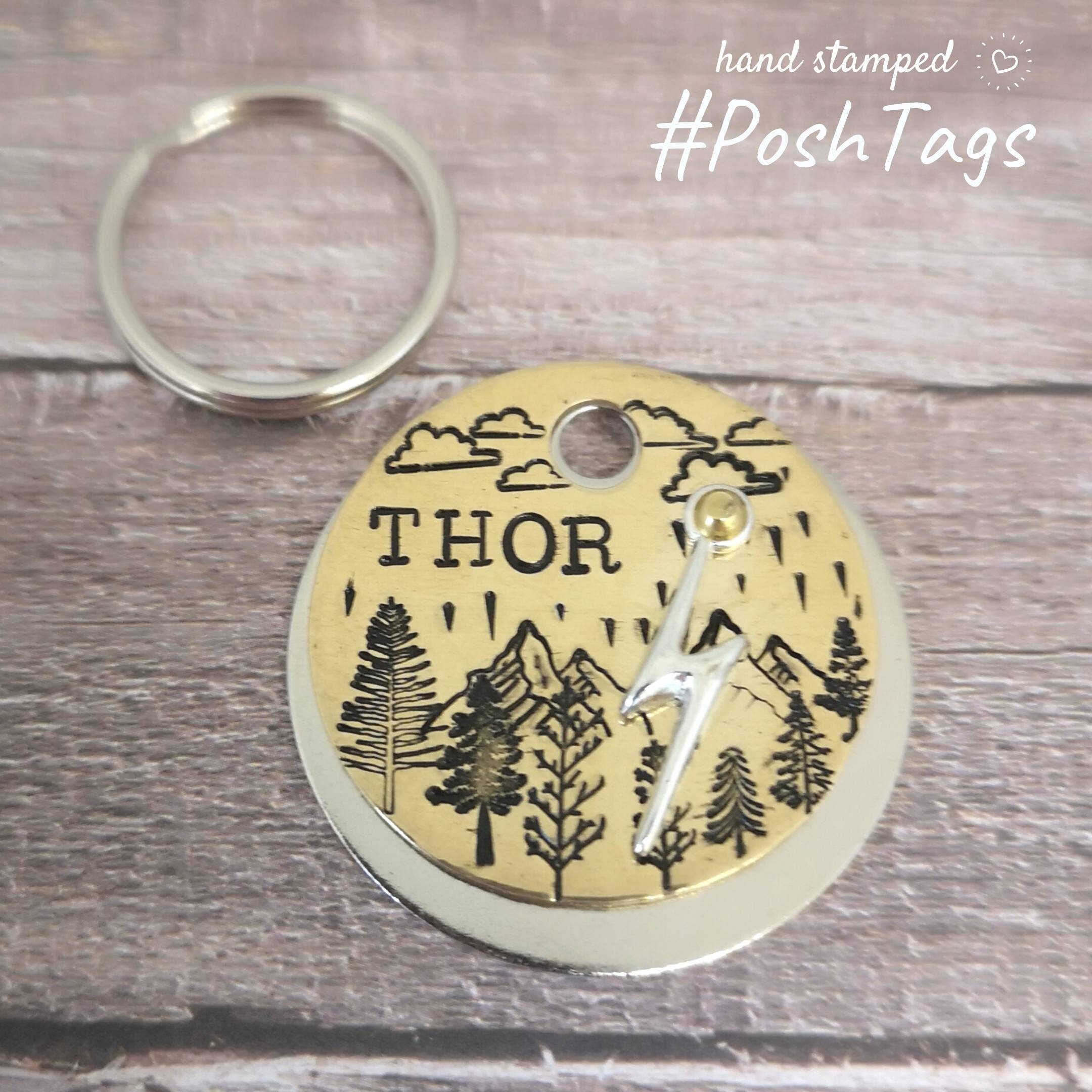 3D tag Thor thunder lightning - pet cat dog ID collar tag