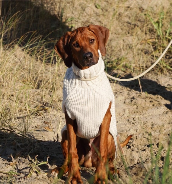 Natural Cable Knit Dog Sweaters