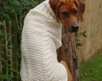 Rhodesian ridgeback pullover - Die hochwertigsten Rhodesian ridgeback pullover im Überblick