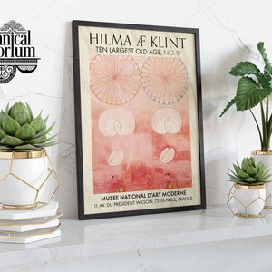 Può includere: Un poster incorniciato di un'opera d'arte di Hilma af Klint intitolata "Ten Largest Old Age, No. 9" con uno schema di colori rosa e bianco. Il poster è esposto su uno scaffale con due vasi in ceramica bianca con accenti dorati, ognuno contenente una pianta grassa verde.