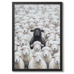 Könnte beinhalten: Gerahmter Druck mit einem schwarzen Schaf, das sich von einer Herde weißer Schafe abhebt. Das schwarze Schaf steht im Mittelpunkt, mit einem gelben Etikett am Ohr. Das Bild ist eine Nahaufnahme, wobei die Schafe den Rahmen ausfüllen.