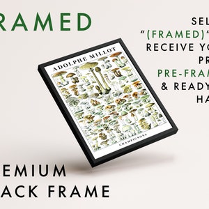 May include: A framed print of a vintage mushroom illustration. The print is in a black frame and features the text "ADOLPHE MILLOT" and "CHAMPIGNONS".