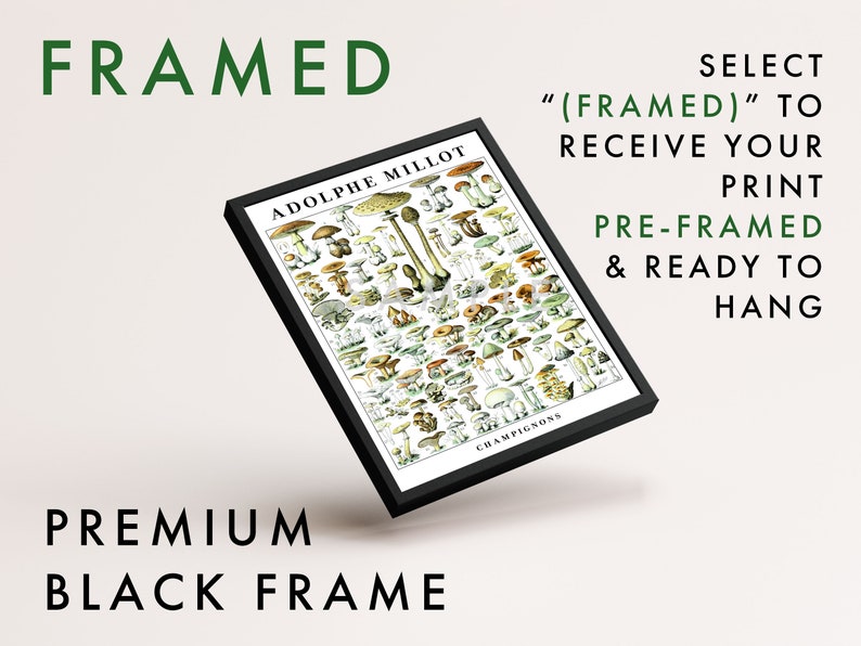 May include: A framed print of a vintage mushroom illustration. The print is in a black frame and features the text "ADOLPHE MILLOT" and "CHAMPIGNONS".