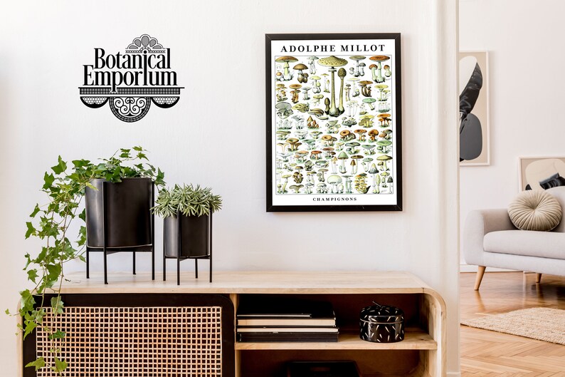 May include: A framed vintage botanical illustration of mushrooms, titled "ADOLPHE MILLOT CHAMPIGNONS", with a black frame and white mat. The illustration is in a living room setting with plants and a wooden shelf.