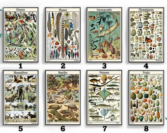 Adolphe Millot Wildlife & Botanical Print Selection | Giclée Print | Lustre / Matte | Framed | Wall Décor | Gift Idea |Sizes: A5 A4 A3 A2 A1