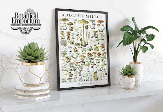 Vintage Mushrooms Print | Kitchen Poster | Adolphe Millot Botanical Illustration | Lustre/Matte | Framed Wall Décor | Sizes: A5 A4 A3 A2 A1