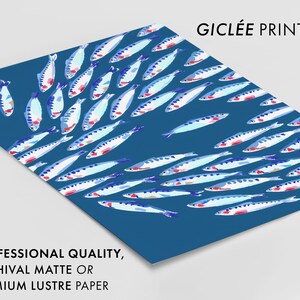Puede incluir: Impresi&oacute;n gicl&eacute;e de un banco de peces azules y blancos con acentos rojos nadando en un fondo azul. La impresi&oacute;n est&aacute; disponible en papel mate de archivo o papel lustroso de calidad profesional.