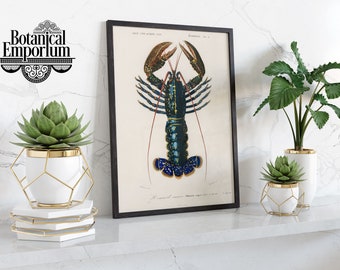 Hummerposter, vintagetryck med vilda djur, väggkonst med röd kräfta, presentidé för vardagsrum, finns inramad, A6 A5 A4 A3 A2 A1