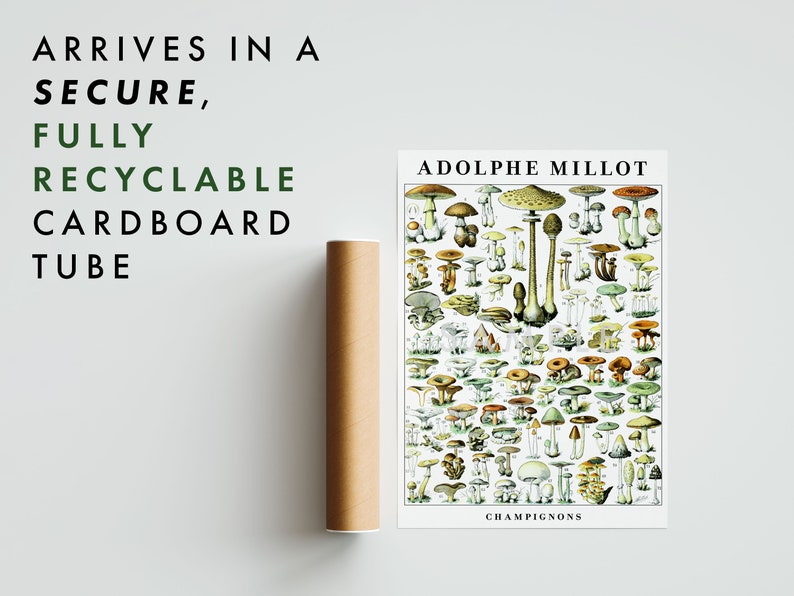 May include: A vintage botanical illustration poster featuring a variety of mushrooms, with the title "ADOLPHE MILLOT CHAMPIGNONS". The poster is printed on white paper and has a green and brown color scheme.