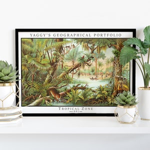 Vintage Rainforest Print | Yaggy's Geographical Illustrations | Lustre/Matte | Framed | Wall Décor | Gift Idea | Sizes: A5 A4 A3 A2 A1