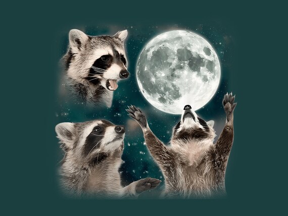Three Raccoons Howling at Moon PNG: Funny Raccoon Clip Art (Digital Download)