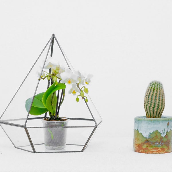 Pentagon Prism Geometric Glass Terrarium von Kraftzon für Sukkulenten, Kakteen, Farnpflanzen und Moos