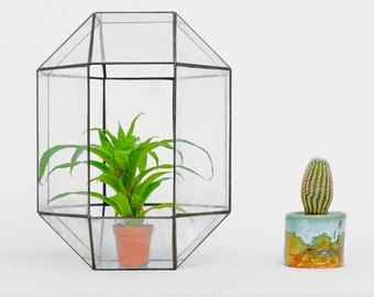 Crypto Geometric Terrarium by Kraftzon | Glass | Handmade | for succulent, cactus, fern plants and moss