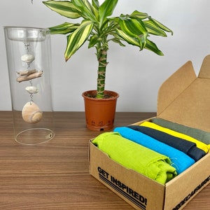 COLORI DELLA NATURA, Confezione di scampoli di tessuto 100% lino, ideali per lavori artigianali o di bricolage.