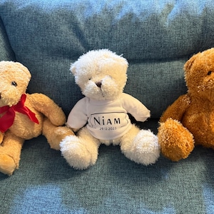 Personalised Teddy Bear with Tee