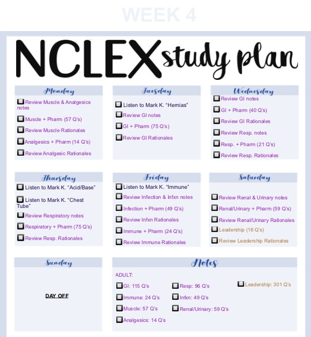 nclex-study-plan-blue-etsy