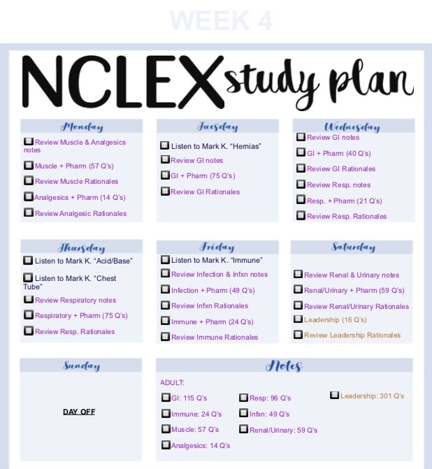 NCLEX Study Plan BLUE Etsy